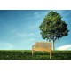 Masivní dřevěné lavička, teakové neošetřené dřevo, 120 cm