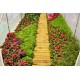 Obloukový zahradní fóliovník, vyztužená fólie, zelený, 3,5x2 m