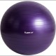 Gymnastický a rehabilitační míč včetně pumpičky, 65 cm, fialový