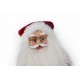 Santa Claus na saních - zpívá a tleská rukama