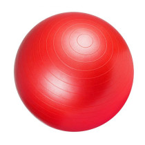 Velký gymnastický míč na cvičení nafukovací s pumpičkou červený, průměr 55 cm