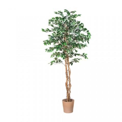 Umělá rostlina jako živá, Fíkus vysoký 190 cm