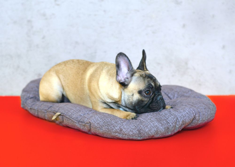 Podložka - polštář pro psa pratelný, hnědý melír, oválný, 80 cm