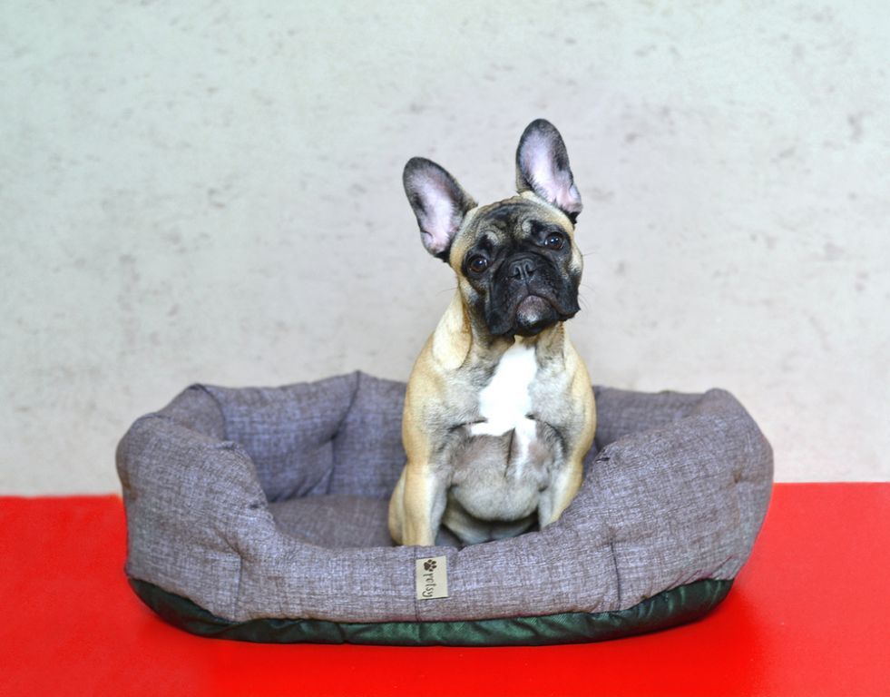 Kvalitní měkký pelech pro psa s vyvýšenými okraji, pratelný, hnědý, 65 cm